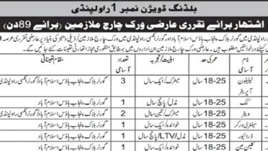 Building Division Rawalpindi Latest Jobs 2024