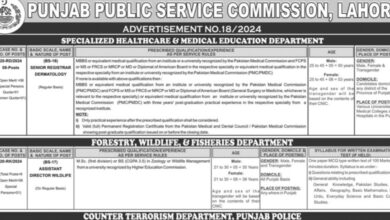 Punjab Public Service Commission PPSC Lahore Jobs 2024