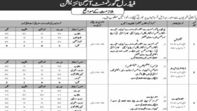 Intelligence Bureau IB Federal Government Organization Jobs 2024