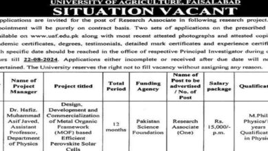 University Of Agriculture UAF Faisalabad Research Associate Jobs 2024