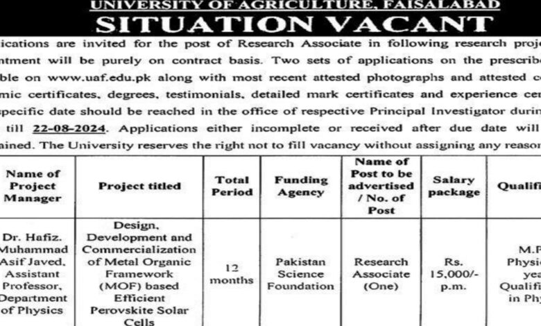 University Of Agriculture UAF Faisalabad Research Associate Jobs 2024