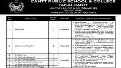 Cantt Public School & College Karachi Jobs 2024