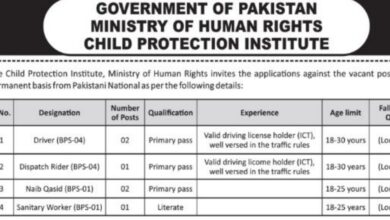 Ministry of Human Rights Islamabad Jobs 2024