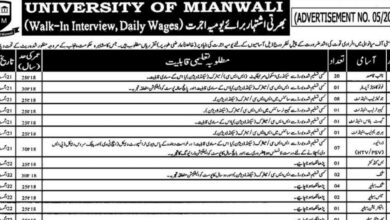 University Of Mianwali Jobs August 2024