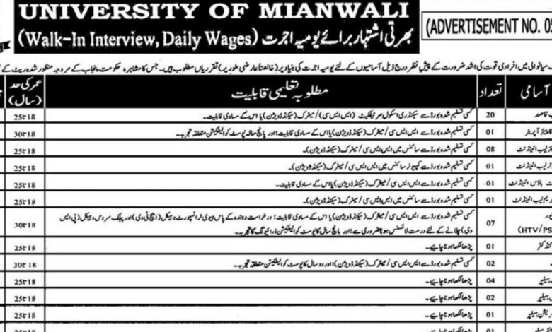 University Of Mianwali Jobs August 2024