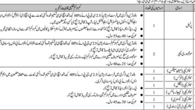 Cantt Public School & College Karachi Teaching Staff Jobs 2024