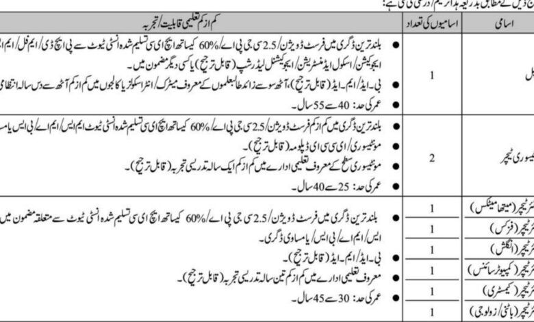 Cantt Public School & College Karachi Teaching Staff Jobs 2024