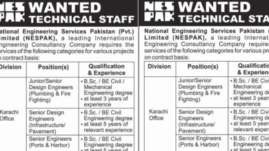 National Engineering Services Pakistan NESPAK Karachi Jobs 2024