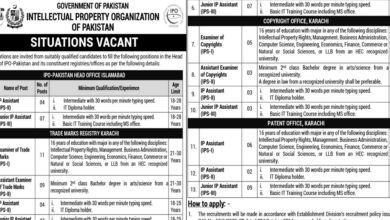 Intellectual Property Organization of Pakistan Latest Job Opportunities 2024