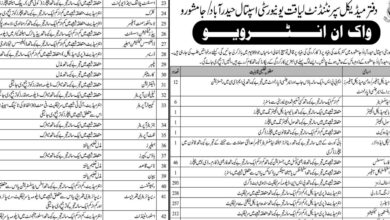 Liaquat University Hospital Hyderabad Jobs 2024