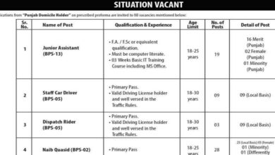 Election Commission of Pakistan ECP Lahore Jobs 2024