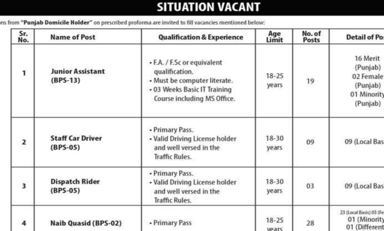 Election Commission of Pakistan ECP Lahore Jobs 2024