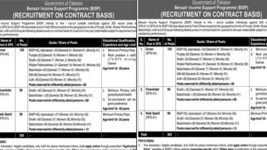 Benazir Income Support Programme BISP Islamabad Jobs 2024