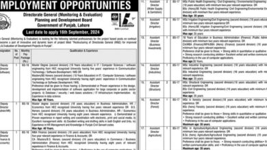 Planning And Development Board Punjab Lahore Jobs 2024