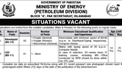 Ministry Of Energy Petroleum Division Islamabad Jobs 2024