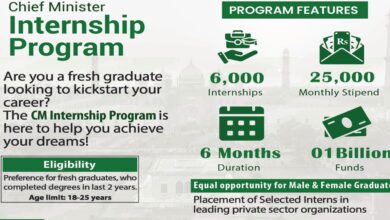 Chief Minister Punjab Internship Program 2024