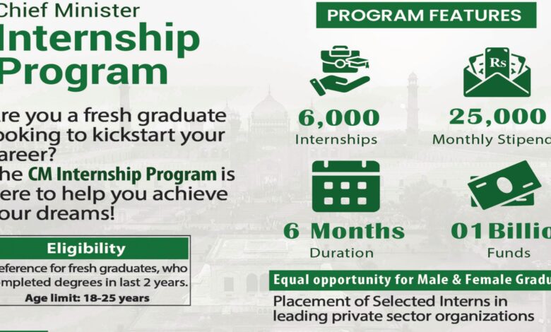 Chief Minister Punjab Internship Program 2024