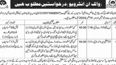 Balochistan Food Authority Jobs 2024