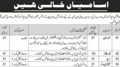 Pakistan Army Ammunition Depot Sakrand Jobs 2024