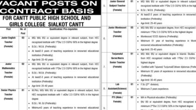 Cantt Public High School and Girls College Sialkot Jobs 2024