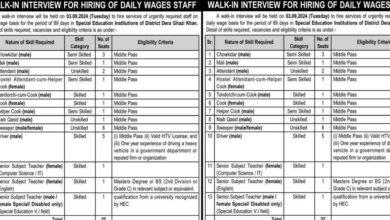 Special Education Institution SEI Dera Ghazi Khan Jobs 2024