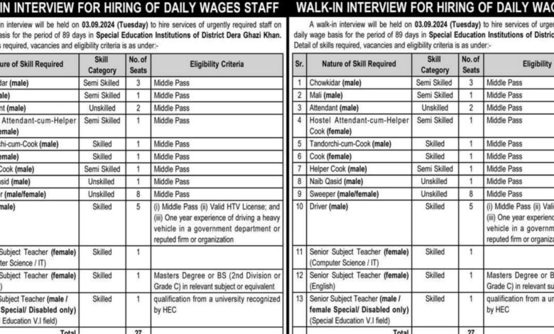 Special Education Institution SEI Dera Ghazi Khan Jobs 2024