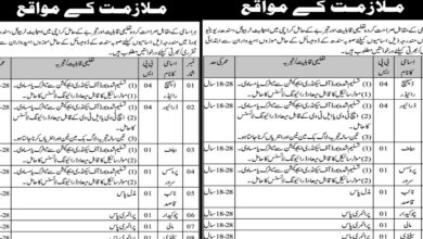 Sindh Revenue Board SRB Karachi Jobs 2024