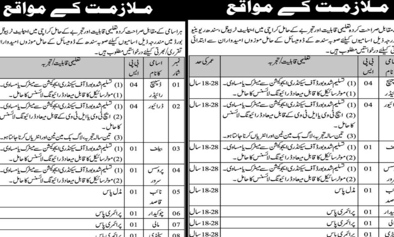 Sindh Revenue Board SRB Karachi Jobs 2024