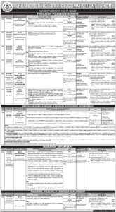 Punjab Public Service Commission PPSC Jobs 2024