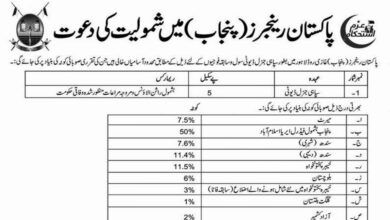 Pakistan Rangers Punjab Lahore Jobs 2024