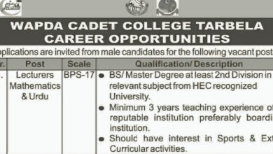 Wapda Cadet College Tarbela ( Lecturers BPS-17 ) Jobs 2024