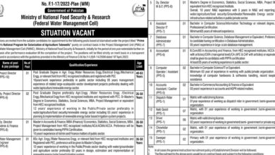 Ministry Of National Foods & Security Research Islamabad Jobs 2024