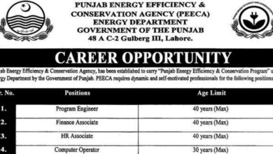 Punjab Energy Efficiency & Conservation Agency PEECA Lahore Jobs 2024