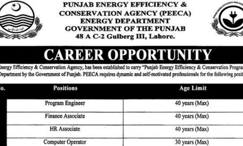 Punjab Energy Efficiency & Conservation Agency PEECA Lahore Jobs 2024