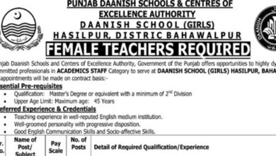 Punjab Daanish Schools & Center Of Excellence Authority Jobs 2024