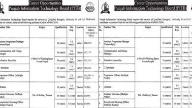 Punjab Information Technology Board PITB Lahore Jobs Notice 2024