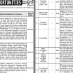 National TB Control Program NTP Islamabad Jobs Notice 2024