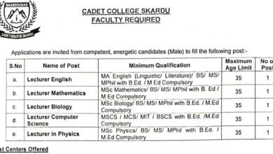 Cadet College Skardu ( Lecturer BPS-17 ) Jobs Notice 2024