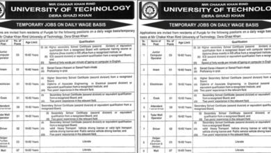 Mir Chakar Khan Rind University of Technology Dera Ghazi Khan Jobs Notice 2024