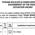 Punjab Wildlife & Parks Department Lahore Jobs Notice 2024