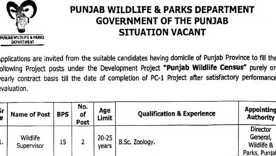 Punjab Wildlife & Parks Department Lahore Jobs Notice 2024