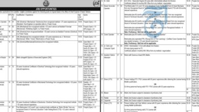 WAPDA Lahore ( BPS-06 TO BPS-16 ) Jobs Recruitment Notice 2024