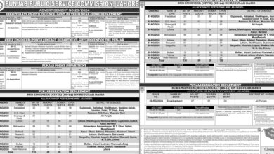 Punjab Public Service Commission PPSC Lahore Jobs