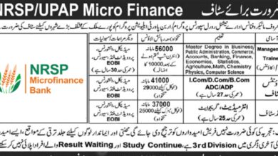 National Rural Support Programme NRSP Jobs 2024