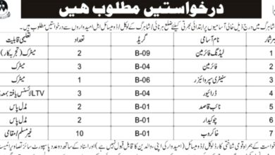 Municipal Committee Jobs 2024