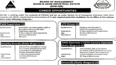 Quaid E Azam Industrial Estate Lahore Career Opportunities 2024