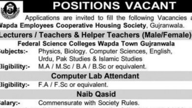 Wapda Employees Cooperative Housing Society Gujranwala Jobs 2024