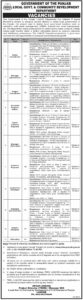 Local Government & Community Development Department Lahore Jobs 2024