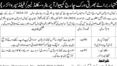 Punjab Irrigation Department Jobs 2024