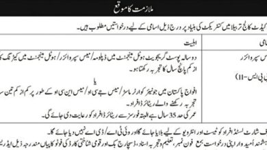 Wapda Cadet College Tarbela Jobs October 2024